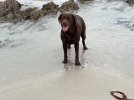 IMG_0531.jpeg