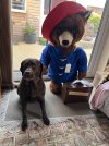 IMG_0115.jpeg