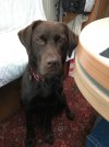IMG_2430.jpeg