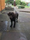 IMG_1735.jpeg