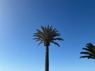 IMG_7364.jpeg
