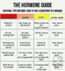 Hormone guide.jpg
