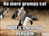 Grumpy penguin.png
