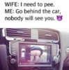 car pee.jpg