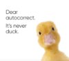 Never duck.jpg