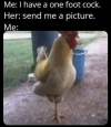 1744653004849.png